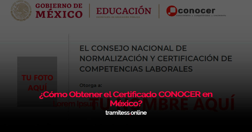 ¿Cómo Obtener el Certificado CONOCER en México?