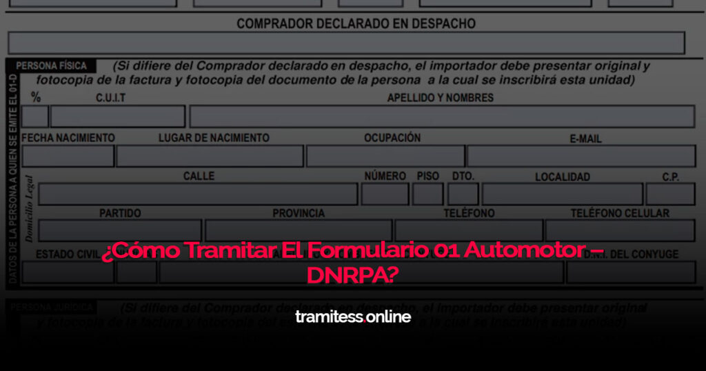 ¿Cómo Tramitar El Formulario 01 Automotor – DNRPA?