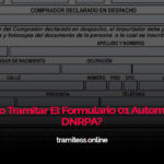 ¿Cómo Tramitar El Formulario 01 Automotor – DNRPA?