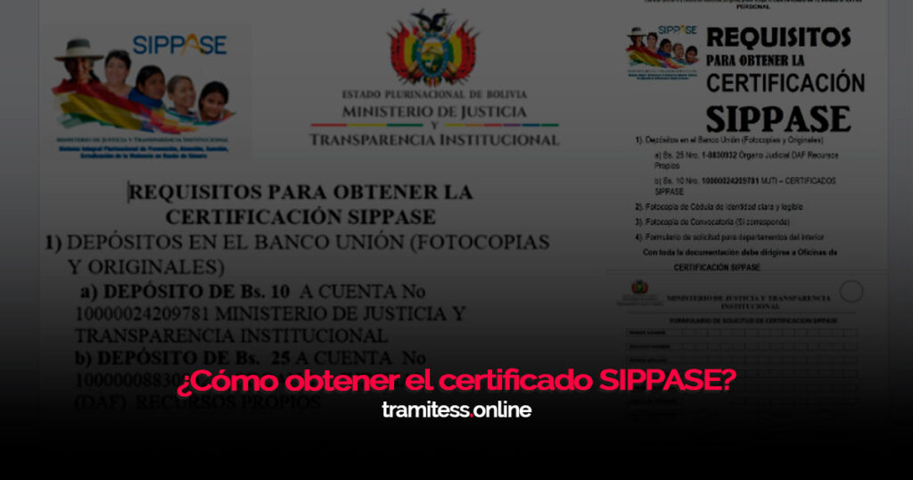 ¿Cómo obtener el certificado SIPPASE?